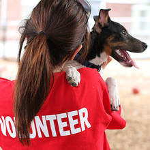 Co możesz zrobić dla bezdomnych zwierząt?