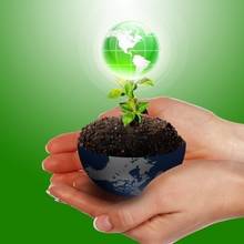 Jak chronić środowisko – podstawowe zasady