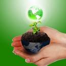 Jak chronić środowisko – podstawowe zasady