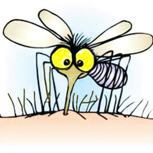 Jak uniknąć ukąszeń komarów?