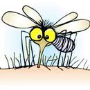 Jak uniknąć ukąszeń komarów?