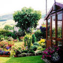 Jak samemu założyć ogród?