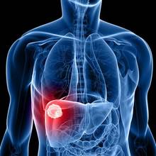 W jaki sposób zregenerować wątrobę?