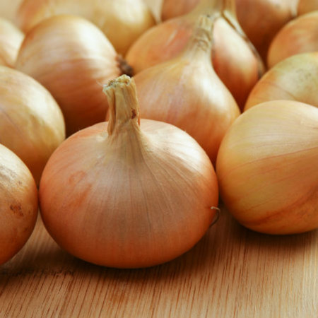 Cebula