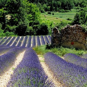 Co jeszcze warte jest uwagi?