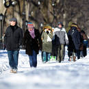 Jak zabezpieczyć obuwie przed solą?