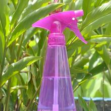 Jak odstraszyć owady za pomocą naturalnych środków?