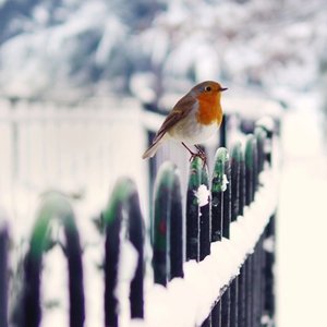 Kiedy rozpocząć dokarmianie?