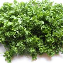 Zasady sadzenia rzeżuchy