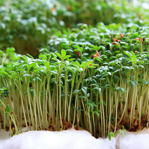 Przygotowanie podłoża