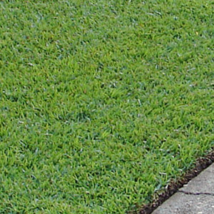 Uzupełnianie ubytków za pomocą darni