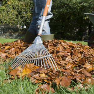 Na początek – porządki