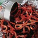 Robaki z galaretki – idealne na Halloween