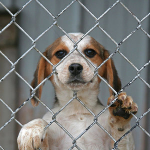 Najpierw przemyślana decyzja