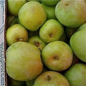 Co będzie potrzebne?