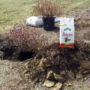 Przygotowanie stanowiska