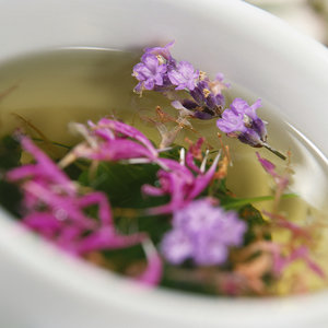 Parówka ze skrzypu polnego