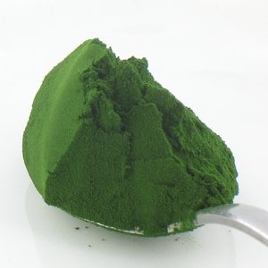 Źródło chlorofilu