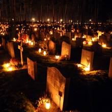 Jakie kwiaty wybrać na grób?