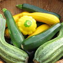 Jak przyrządzić jajko zapiekane w cukinii?