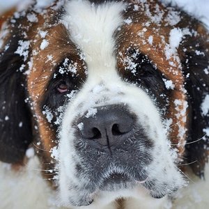 Nawilżanie powietrza