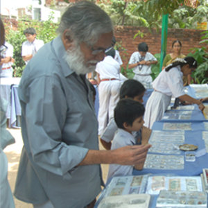 Jak zdobywać okazy do kolekcji?