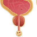 Jak poprawnie masować prostatę?