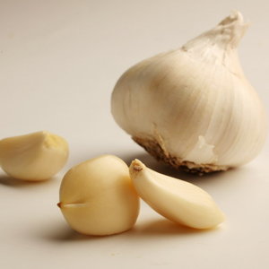 Pielęgnacja czosnku