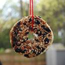 Sposób przygotowania kolby dla ptaków