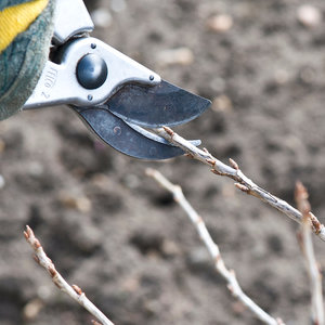 Narzędzia do cięcia agrestu