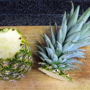 Jak przygotować sadzonkę?