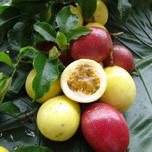 Jakich składników potrzeba?