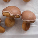 Jak zrobić oryginalne ciastka-grzybki?