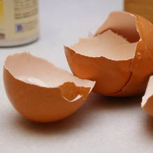 Jak skorupki jaj przydają się w leczeniu osteoporozy?