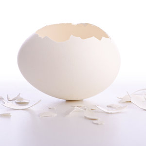 Przechowywanie skorupek