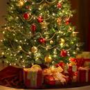 Sposoby zabezpieczenia choinki przed zwierzętami