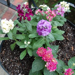 Zaczynamy od stanowiska