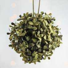 Jak wykonać świąteczną dekorację z bukszpanu?