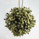 Jak wykonać świąteczną dekorację z bukszpanu?