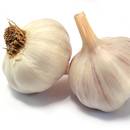 Jak łagodzić bóle miesiączkowe czosnkiem?