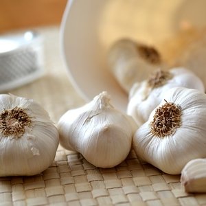 Surowy czosnek