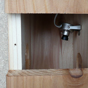 Mocowanie kamery w budce lęgowej – krok trzeci