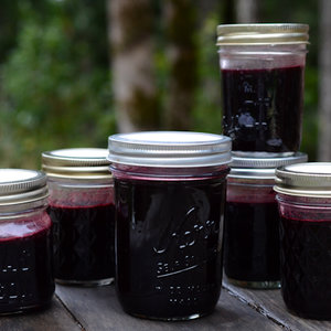 Właściwości czarnego bzu