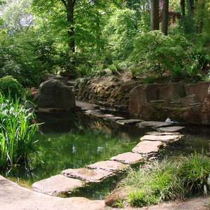 Pielęgnacja oczka wodnego