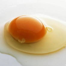 Zaskakujące sposoby wykorzystania białka