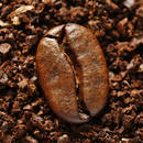 Kawowe peelingi do całego ciała