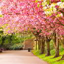 Sposoby na powitanie wiosny