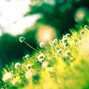 Wietrzenie mieszkania