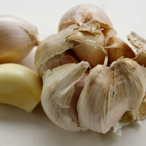 Skuteczny czosnek