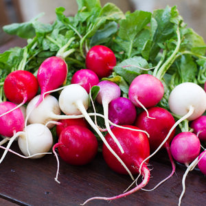 Miejsce dla rzodkiewki